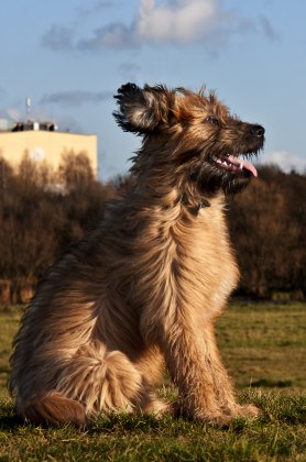 _DSC0607as_4317
