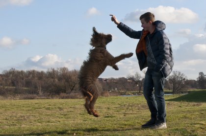 _DSC0619as_4329