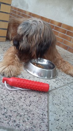 Bild2