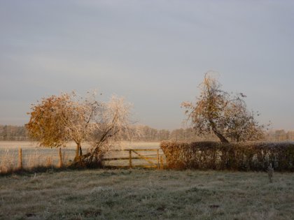P1010951