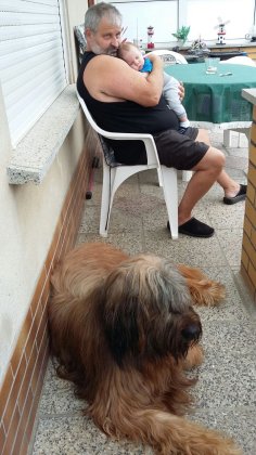 IMG-20170901-WA0010
