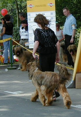 Tedesca