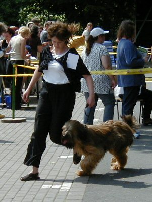 Tedesca