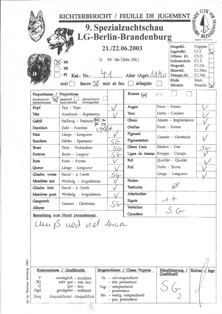 Bericht