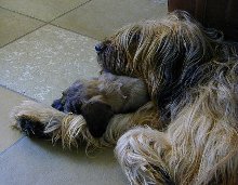 Tedesca und ihre Mama