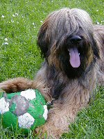 Tedesca mit Ball