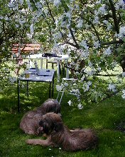 Cassola und Tedesca im Garten