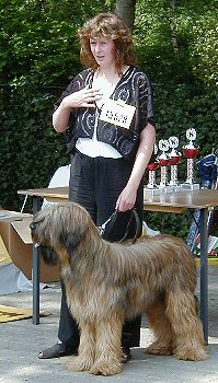 Tedesca und Frauchen auf der Ausstellung