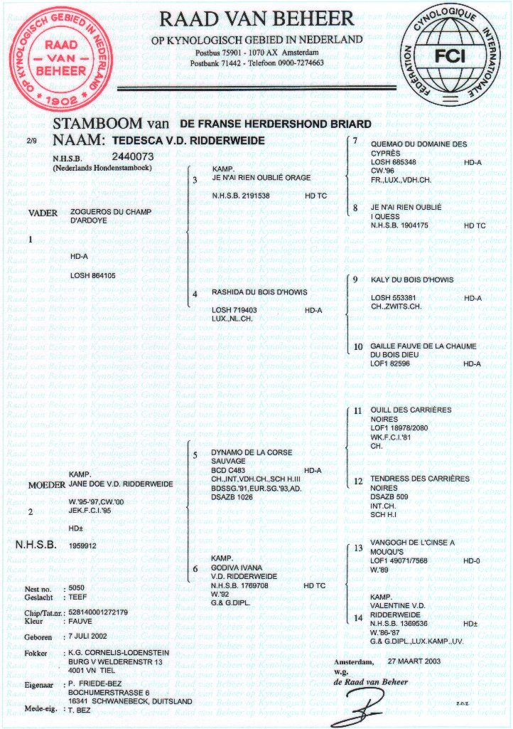 Abstammungsurkunde Tedesca